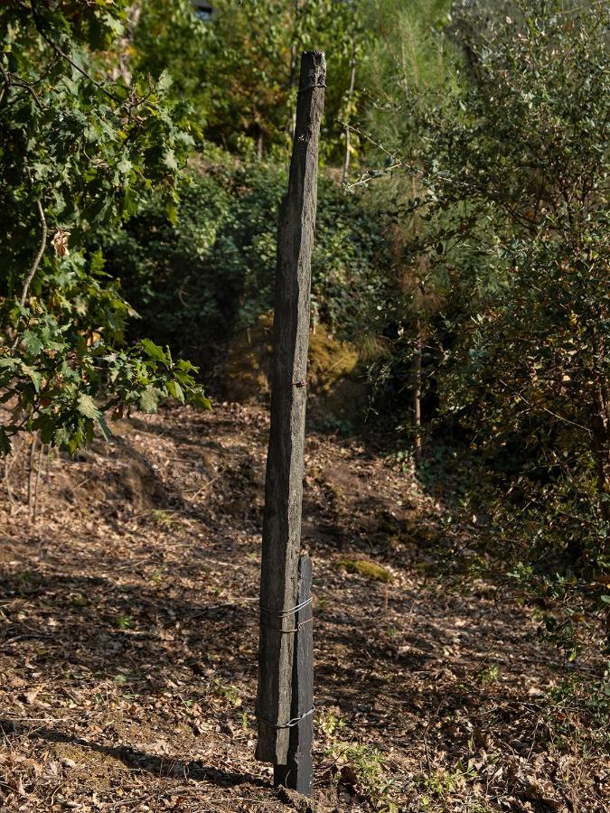 Barro  Quinta De Sao Pedroゲストハウス エクステリア 写真