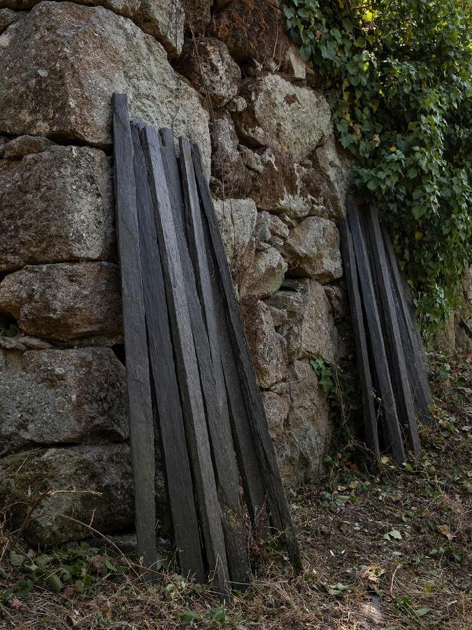 Barro  Quinta De Sao Pedroゲストハウス エクステリア 写真